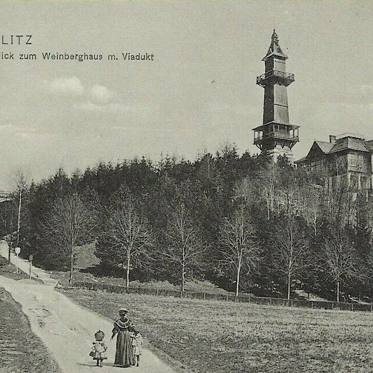 Weinberg mit Weinberghaus, Aussichtsturm und Viadukt